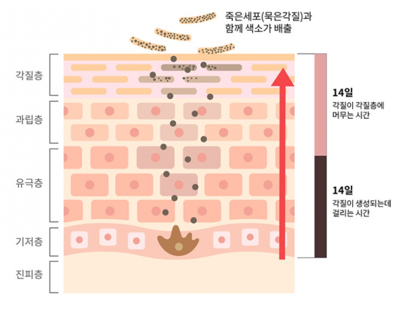 5bb71-69d8ff96d2da5-951a7af44f7a5d0c19d24645f773bcd6610a61f7.png