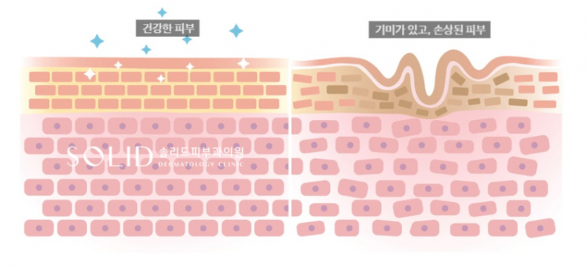 5bb71-69e20ceda920e-0c067a7398dc54953e26a584eb1040c98663001f.png