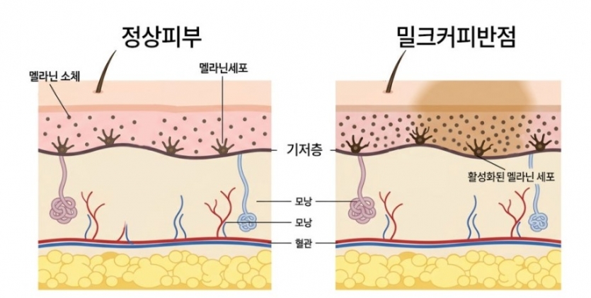 5bb71-6a5838ff2de72-c3e9192aa1f509c08cb89e763b8c62016ede2b81.jpg
